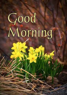 #good-morning, #whatsapp-good-morning, #best-good-morning, #morning