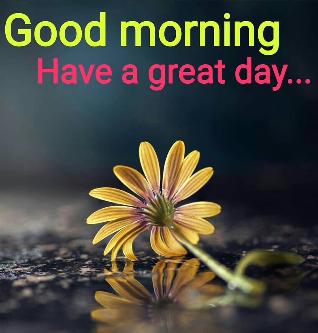 #good-morning, #whatsapp-good-morning, #best-good-morning, #good-morning-images, #good-morning-whatsapp