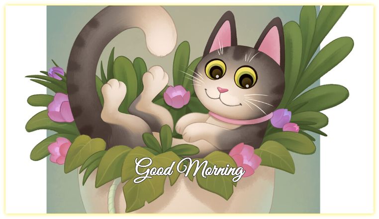 #gm, #gm-images, #gm-wishes, #morning-messages, #morning-images