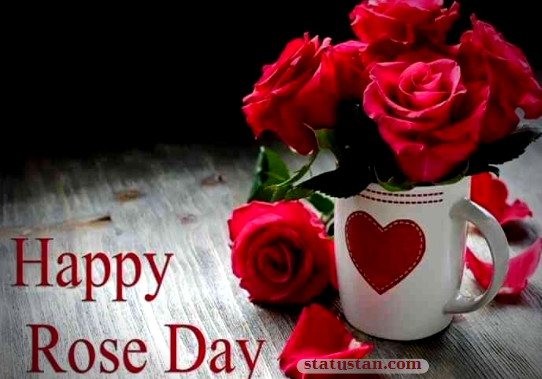#{"id":486,"_id":"61f3f785e0f744570541c215","name":"rose-day-images","count":14,"data":"{\"_id\":{\"$oid\":\"61f3f785e0f744570541c215\"},\"id\":\"460\",\"name\":\"rose-day-images\",\"created_at\":\"2021-01-18-16:10:17\",\"updated_at\":\"2021-01-18-16:10:17\",\"updatedAt\":{\"$date\":\"2022-01-28T14:33:44.909Z\"},\"count\":14}","deleted_at":null,"created_at":"2021-01-18T04:10:17.000000Z","updated_at":"2021-01-18T04:10:17.000000Z","merge_with":null,"pivot":{"taggable_id":790,"tag_id":486,"taggable_type":"App\\Models\\Status"}}, #{"id":487,"_id":"61f3f785e0f744570541c216","name":"happy-rose-day","count":36,"data":"{\"_id\":{\"$oid\":\"61f3f785e0f744570541c216\"},\"id\":\"461\",\"name\":\"happy-rose-day\",\"created_at\":\"2021-01-18-16:10:17\",\"updated_at\":\"2021-01-18-16:10:17\",\"updatedAt\":{\"$date\":\"2022-01-28T14:33:44.909Z\"},\"count\":36}","deleted_at":null,"created_at":"2021-01-18T04:10:17.000000Z","updated_at":"2021-01-18T04:10:17.000000Z","merge_with":null,"pivot":{"taggable_id":790,"tag_id":487,"taggable_type":"App\\Models\\Status"}}, #{"id":481,"_id":"61f3f785e0f744570541c210","name":"rose-day-2021-shayari","count":47,"data":"{\"_id\":{\"$oid\":\"61f3f785e0f744570541c210\"},\"id\":\"455\",\"name\":\"rose-day-2021-shayari\",\"created_at\":\"2021-01-18-13:29:26\",\"updated_at\":\"2021-01-18-13:29:26\",\"updatedAt\":{\"$date\":\"2022-01-28T14:33:44.909Z\"},\"count\":47}","deleted_at":null,"created_at":"2021-01-18T01:29:26.000000Z","updated_at":"2021-01-18T01:29:26.000000Z","merge_with":null,"pivot":{"taggable_id":790,"tag_id":481,"taggable_type":"App\\Models\\Status"}}, #{"id":482,"_id":"61f3f785e0f744570541c211","name":"rose-day-whatsapp-status","count":47,"data":"{\"_id\":{\"$oid\":\"61f3f785e0f744570541c211\"},\"id\":\"456\",\"name\":\"rose-day-whatsapp-status\",\"created_at\":\"2021-01-18-13:29:26\",\"updated_at\":\"2021-01-18-13:29:26\",\"updatedAt\":{\"$date\":\"2022-01-28T14:33:44.909Z\"},\"count\":47}","deleted_at":null,"created_at":"2021-01-18T01:29:26.000000Z","updated_at":"2021-01-18T01:29:26.000000Z","merge_with":null,"pivot":{"taggable_id":790,"tag_id":482,"taggable_type":"App\\Models\\Status"}}, #{"id":483,"_id":"61f3f785e0f744570541c212","name":"rose-day-status","count":47,"data":"{\"_id\":{\"$oid\":\"61f3f785e0f744570541c212\"},\"id\":\"457\",\"name\":\"rose-day-status\",\"created_at\":\"2021-01-18-13:29:26\",\"updated_at\":\"2021-01-18-13:29:26\",\"updatedAt\":{\"$date\":\"2022-01-28T14:33:44.909Z\"},\"count\":47}","deleted_at":null,"created_at":"2021-01-18T01:29:26.000000Z","updated_at":"2021-01-18T01:29:26.000000Z","merge_with":null,"pivot":{"taggable_id":790,"tag_id":483,"taggable_type":"App\\Models\\Status"}}, #{"id":484,"_id":"61f3f785e0f744570541c213","name":"rose-day-wishes","count":47,"data":"{\"_id\":{\"$oid\":\"61f3f785e0f744570541c213\"},\"id\":\"458\",\"name\":\"rose-day-wishes\",\"created_at\":\"2021-01-18-13:29:26\",\"updated_at\":\"2021-01-18-13:29:26\",\"updatedAt\":{\"$date\":\"2022-01-28T14:33:44.909Z\"},\"count\":47}","deleted_at":null,"created_at":"2021-01-18T01:29:26.000000Z","updated_at":"2021-01-18T01:29:26.000000Z","merge_with":null,"pivot":{"taggable_id":790,"tag_id":484,"taggable_type":"App\\Models\\Status"}}, #{"id":485,"_id":"61f3f785e0f744570541c214","name":"rose-day-status-in-hindi","count":46,"data":"{\"_id\":{\"$oid\":\"61f3f785e0f744570541c214\"},\"id\":\"459\",\"name\":\"rose-day-status-in-hindi\",\"created_at\":\"2021-01-18-13:29:26\",\"updated_at\":\"2021-01-18-13:29:26\",\"updatedAt\":{\"$date\":\"2022-01-28T14:33:44.909Z\"},\"count\":46}","deleted_at":null,"created_at":"2021-01-18T01:29:26.000000Z","updated_at":"2021-01-18T01:29:26.000000Z","merge_with":null,"pivot":{"taggable_id":790,"tag_id":485,"taggable_type":"App\\Models\\Status"}}