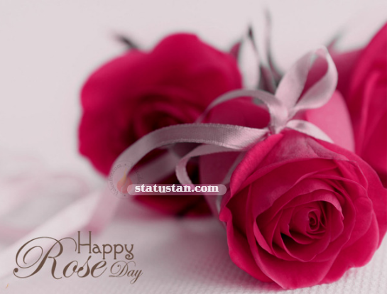 #rose-day-images, #happy-rose-day, #rose-day-2021-shayari, #rose-day-whatsapp-status, #rose-day-status, #rose-day-wishes, #rose-day-status-in-hindi