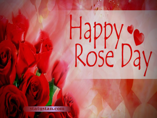 #{"id":486,"_id":"61f3f785e0f744570541c215","name":"rose-day-images","count":14,"data":"{\"_id\":{\"$oid\":\"61f3f785e0f744570541c215\"},\"id\":\"460\",\"name\":\"rose-day-images\",\"created_at\":\"2021-01-18-16:10:17\",\"updated_at\":\"2021-01-18-16:10:17\",\"updatedAt\":{\"$date\":\"2022-01-28T14:33:44.909Z\"},\"count\":14}","deleted_at":null,"created_at":"2021-01-18T04:10:17.000000Z","updated_at":"2021-01-18T04:10:17.000000Z","merge_with":null,"pivot":{"taggable_id":783,"tag_id":486,"taggable_type":"App\\Models\\Status"}}, #{"id":487,"_id":"61f3f785e0f744570541c216","name":"happy-rose-day","count":36,"data":"{\"_id\":{\"$oid\":\"61f3f785e0f744570541c216\"},\"id\":\"461\",\"name\":\"happy-rose-day\",\"created_at\":\"2021-01-18-16:10:17\",\"updated_at\":\"2021-01-18-16:10:17\",\"updatedAt\":{\"$date\":\"2022-01-28T14:33:44.909Z\"},\"count\":36}","deleted_at":null,"created_at":"2021-01-18T04:10:17.000000Z","updated_at":"2021-01-18T04:10:17.000000Z","merge_with":null,"pivot":{"taggable_id":783,"tag_id":487,"taggable_type":"App\\Models\\Status"}}, #{"id":481,"_id":"61f3f785e0f744570541c210","name":"rose-day-2021-shayari","count":47,"data":"{\"_id\":{\"$oid\":\"61f3f785e0f744570541c210\"},\"id\":\"455\",\"name\":\"rose-day-2021-shayari\",\"created_at\":\"2021-01-18-13:29:26\",\"updated_at\":\"2021-01-18-13:29:26\",\"updatedAt\":{\"$date\":\"2022-01-28T14:33:44.909Z\"},\"count\":47}","deleted_at":null,"created_at":"2021-01-18T01:29:26.000000Z","updated_at":"2021-01-18T01:29:26.000000Z","merge_with":null,"pivot":{"taggable_id":783,"tag_id":481,"taggable_type":"App\\Models\\Status"}}, #{"id":482,"_id":"61f3f785e0f744570541c211","name":"rose-day-whatsapp-status","count":47,"data":"{\"_id\":{\"$oid\":\"61f3f785e0f744570541c211\"},\"id\":\"456\",\"name\":\"rose-day-whatsapp-status\",\"created_at\":\"2021-01-18-13:29:26\",\"updated_at\":\"2021-01-18-13:29:26\",\"updatedAt\":{\"$date\":\"2022-01-28T14:33:44.909Z\"},\"count\":47}","deleted_at":null,"created_at":"2021-01-18T01:29:26.000000Z","updated_at":"2021-01-18T01:29:26.000000Z","merge_with":null,"pivot":{"taggable_id":783,"tag_id":482,"taggable_type":"App\\Models\\Status"}}, #{"id":483,"_id":"61f3f785e0f744570541c212","name":"rose-day-status","count":47,"data":"{\"_id\":{\"$oid\":\"61f3f785e0f744570541c212\"},\"id\":\"457\",\"name\":\"rose-day-status\",\"created_at\":\"2021-01-18-13:29:26\",\"updated_at\":\"2021-01-18-13:29:26\",\"updatedAt\":{\"$date\":\"2022-01-28T14:33:44.909Z\"},\"count\":47}","deleted_at":null,"created_at":"2021-01-18T01:29:26.000000Z","updated_at":"2021-01-18T01:29:26.000000Z","merge_with":null,"pivot":{"taggable_id":783,"tag_id":483,"taggable_type":"App\\Models\\Status"}}, #{"id":484,"_id":"61f3f785e0f744570541c213","name":"rose-day-wishes","count":47,"data":"{\"_id\":{\"$oid\":\"61f3f785e0f744570541c213\"},\"id\":\"458\",\"name\":\"rose-day-wishes\",\"created_at\":\"2021-01-18-13:29:26\",\"updated_at\":\"2021-01-18-13:29:26\",\"updatedAt\":{\"$date\":\"2022-01-28T14:33:44.909Z\"},\"count\":47}","deleted_at":null,"created_at":"2021-01-18T01:29:26.000000Z","updated_at":"2021-01-18T01:29:26.000000Z","merge_with":null,"pivot":{"taggable_id":783,"tag_id":484,"taggable_type":"App\\Models\\Status"}}, #{"id":485,"_id":"61f3f785e0f744570541c214","name":"rose-day-status-in-hindi","count":46,"data":"{\"_id\":{\"$oid\":\"61f3f785e0f744570541c214\"},\"id\":\"459\",\"name\":\"rose-day-status-in-hindi\",\"created_at\":\"2021-01-18-13:29:26\",\"updated_at\":\"2021-01-18-13:29:26\",\"updatedAt\":{\"$date\":\"2022-01-28T14:33:44.909Z\"},\"count\":46}","deleted_at":null,"created_at":"2021-01-18T01:29:26.000000Z","updated_at":"2021-01-18T01:29:26.000000Z","merge_with":null,"pivot":{"taggable_id":783,"tag_id":485,"taggable_type":"App\\Models\\Status"}}