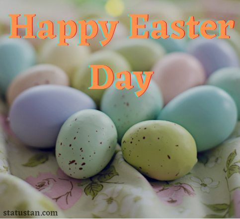 #{"id":1352,"_id":"61f3f785e0f744570541c2b9","name":"happy-easter-images","count":2,"data":"{\"_id\":{\"$oid\":\"61f3f785e0f744570541c2b9\"},\"id\":\"624\",\"name\":\"happy-easter-images\",\"created_at\":\"2021-04-01-16:40:03\",\"updated_at\":\"2021-04-01-16:40:03\",\"updatedAt\":{\"$date\":\"2022-01-28T14:33:44.924Z\"},\"count\":2}","deleted_at":null,"created_at":"2021-04-01T04:40:03.000000Z","updated_at":"2021-04-01T04:40:03.000000Z","merge_with":null,"pivot":{"taggable_id":1240,"tag_id":1352,"taggable_type":"App\\Models\\Shayari"}}, #{"id":1344,"_id":"61f3f785e0f744570541c2b1","name":"happy-easter-2021","count":25,"data":"{\"_id\":{\"$oid\":\"61f3f785e0f744570541c2b1\"},\"id\":\"616\",\"name\":\"happy-easter-2021\",\"created_at\":\"2021-04-01-16:26:00\",\"updated_at\":\"2021-04-01-16:26:00\",\"updatedAt\":{\"$date\":\"2022-01-28T14:33:44.924Z\"},\"count\":25}","deleted_at":null,"created_at":"2021-04-01T04:26:00.000000Z","updated_at":"2021-04-01T04:26:00.000000Z","merge_with":null,"pivot":{"taggable_id":1240,"tag_id":1344,"taggable_type":"App\\Models\\Shayari"}}, #{"id":1345,"_id":"61f3f785e0f744570541c2b2","name":"happy-easter-day","count":23,"data":"{\"_id\":{\"$oid\":\"61f3f785e0f744570541c2b2\"},\"id\":\"617\",\"name\":\"happy-easter-day\",\"created_at\":\"2021-04-01-16:26:00\",\"updated_at\":\"2021-04-01-16:26:00\",\"updatedAt\":{\"$date\":\"2022-01-28T14:33:44.924Z\"},\"count\":23}","deleted_at":null,"created_at":"2021-04-01T04:26:00.000000Z","updated_at":"2021-04-01T04:26:00.000000Z","merge_with":null,"pivot":{"taggable_id":1240,"tag_id":1345,"taggable_type":"App\\Models\\Shayari"}}, #{"id":1346,"_id":"61f3f785e0f744570541c2b3","name":"happy-easter-quotes","count":23,"data":"{\"_id\":{\"$oid\":\"61f3f785e0f744570541c2b3\"},\"id\":\"618\",\"name\":\"happy-easter-quotes\",\"created_at\":\"2021-04-01-16:26:00\",\"updated_at\":\"2021-04-01-16:26:00\",\"updatedAt\":{\"$date\":\"2022-01-28T14:33:44.924Z\"},\"count\":23}","deleted_at":null,"created_at":"2021-04-01T04:26:00.000000Z","updated_at":"2021-04-01T04:26:00.000000Z","merge_with":null,"pivot":{"taggable_id":1240,"tag_id":1346,"taggable_type":"App\\Models\\Shayari"}}, #{"id":1347,"_id":"61f3f785e0f744570541c2b4","name":"happy-easter-status","count":23,"data":"{\"_id\":{\"$oid\":\"61f3f785e0f744570541c2b4\"},\"id\":\"619\",\"name\":\"happy-easter-status\",\"created_at\":\"2021-04-01-16:26:00\",\"updated_at\":\"2021-04-01-16:26:00\",\"updatedAt\":{\"$date\":\"2022-01-28T14:33:44.924Z\"},\"count\":23}","deleted_at":null,"created_at":"2021-04-01T04:26:00.000000Z","updated_at":"2021-04-01T04:26:00.000000Z","merge_with":null,"pivot":{"taggable_id":1240,"tag_id":1347,"taggable_type":"App\\Models\\Shayari"}}, #{"id":1348,"_id":"61f3f785e0f744570541c2b5","name":"easter-status-2021","count":23,"data":"{\"_id\":{\"$oid\":\"61f3f785e0f744570541c2b5\"},\"id\":\"620\",\"name\":\"easter-status-2021\",\"created_at\":\"2021-04-01-16:26:00\",\"updated_at\":\"2021-04-01-16:26:00\",\"updatedAt\":{\"$date\":\"2022-01-28T14:33:44.924Z\"},\"count\":23}","deleted_at":null,"created_at":"2021-04-01T04:26:00.000000Z","updated_at":"2021-04-01T04:26:00.000000Z","merge_with":null,"pivot":{"taggable_id":1240,"tag_id":1348,"taggable_type":"App\\Models\\Shayari"}}, #{"id":1349,"_id":"61f3f785e0f744570541c2b6","name":"easter-shayari-2021","count":23,"data":"{\"_id\":{\"$oid\":\"61f3f785e0f744570541c2b6\"},\"id\":\"621\",\"name\":\"easter-shayari-2021\",\"created_at\":\"2021-04-01-16:26:00\",\"updated_at\":\"2021-04-01-16:26:00\",\"updatedAt\":{\"$date\":\"2022-01-28T14:33:44.923Z\"},\"count\":23}","deleted_at":null,"created_at":"2021-04-01T04:26:00.000000Z","updated_at":"2021-04-01T04:26:00.000000Z","merge_with":null,"pivot":{"taggable_id":1240,"tag_id":1349,"taggable_type":"App\\Models\\Shayari"}}, #{"id":1350,"_id":"61f3f785e0f744570541c2b7","name":"easter-shayari-in-hindi","count":17,"data":"{\"_id\":{\"$oid\":\"61f3f785e0f744570541c2b7\"},\"id\":\"622\",\"name\":\"easter-shayari-in-hindi\",\"created_at\":\"2021-04-01-16:26:00\",\"updated_at\":\"2021-04-01-16:26:00\",\"updatedAt\":{\"$date\":\"2022-01-28T14:33:44.924Z\"},\"count\":17}","deleted_at":null,"created_at":"2021-04-01T04:26:00.000000Z","updated_at":"2021-04-01T04:26:00.000000Z","merge_with":null,"pivot":{"taggable_id":1240,"tag_id":1350,"taggable_type":"App\\Models\\Shayari"}}