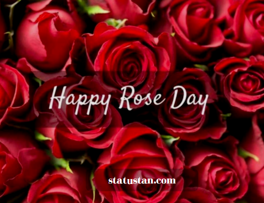 #{"id":486,"_id":"61f3f785e0f744570541c215","name":"rose-day-images","count":14,"data":"{\"_id\":{\"$oid\":\"61f3f785e0f744570541c215\"},\"id\":\"460\",\"name\":\"rose-day-images\",\"created_at\":\"2021-01-18-16:10:17\",\"updated_at\":\"2021-01-18-16:10:17\",\"updatedAt\":{\"$date\":\"2022-01-28T14:33:44.909Z\"},\"count\":14}","deleted_at":null,"created_at":"2021-01-18T04:10:17.000000Z","updated_at":"2021-01-18T04:10:17.000000Z","merge_with":null,"pivot":{"taggable_id":787,"tag_id":486,"taggable_type":"App\\Models\\Status"}}, #{"id":487,"_id":"61f3f785e0f744570541c216","name":"happy-rose-day","count":36,"data":"{\"_id\":{\"$oid\":\"61f3f785e0f744570541c216\"},\"id\":\"461\",\"name\":\"happy-rose-day\",\"created_at\":\"2021-01-18-16:10:17\",\"updated_at\":\"2021-01-18-16:10:17\",\"updatedAt\":{\"$date\":\"2022-01-28T14:33:44.909Z\"},\"count\":36}","deleted_at":null,"created_at":"2021-01-18T04:10:17.000000Z","updated_at":"2021-01-18T04:10:17.000000Z","merge_with":null,"pivot":{"taggable_id":787,"tag_id":487,"taggable_type":"App\\Models\\Status"}}, #{"id":481,"_id":"61f3f785e0f744570541c210","name":"rose-day-2021-shayari","count":47,"data":"{\"_id\":{\"$oid\":\"61f3f785e0f744570541c210\"},\"id\":\"455\",\"name\":\"rose-day-2021-shayari\",\"created_at\":\"2021-01-18-13:29:26\",\"updated_at\":\"2021-01-18-13:29:26\",\"updatedAt\":{\"$date\":\"2022-01-28T14:33:44.909Z\"},\"count\":47}","deleted_at":null,"created_at":"2021-01-18T01:29:26.000000Z","updated_at":"2021-01-18T01:29:26.000000Z","merge_with":null,"pivot":{"taggable_id":787,"tag_id":481,"taggable_type":"App\\Models\\Status"}}, #{"id":482,"_id":"61f3f785e0f744570541c211","name":"rose-day-whatsapp-status","count":47,"data":"{\"_id\":{\"$oid\":\"61f3f785e0f744570541c211\"},\"id\":\"456\",\"name\":\"rose-day-whatsapp-status\",\"created_at\":\"2021-01-18-13:29:26\",\"updated_at\":\"2021-01-18-13:29:26\",\"updatedAt\":{\"$date\":\"2022-01-28T14:33:44.909Z\"},\"count\":47}","deleted_at":null,"created_at":"2021-01-18T01:29:26.000000Z","updated_at":"2021-01-18T01:29:26.000000Z","merge_with":null,"pivot":{"taggable_id":787,"tag_id":482,"taggable_type":"App\\Models\\Status"}}, #{"id":483,"_id":"61f3f785e0f744570541c212","name":"rose-day-status","count":47,"data":"{\"_id\":{\"$oid\":\"61f3f785e0f744570541c212\"},\"id\":\"457\",\"name\":\"rose-day-status\",\"created_at\":\"2021-01-18-13:29:26\",\"updated_at\":\"2021-01-18-13:29:26\",\"updatedAt\":{\"$date\":\"2022-01-28T14:33:44.909Z\"},\"count\":47}","deleted_at":null,"created_at":"2021-01-18T01:29:26.000000Z","updated_at":"2021-01-18T01:29:26.000000Z","merge_with":null,"pivot":{"taggable_id":787,"tag_id":483,"taggable_type":"App\\Models\\Status"}}, #{"id":484,"_id":"61f3f785e0f744570541c213","name":"rose-day-wishes","count":47,"data":"{\"_id\":{\"$oid\":\"61f3f785e0f744570541c213\"},\"id\":\"458\",\"name\":\"rose-day-wishes\",\"created_at\":\"2021-01-18-13:29:26\",\"updated_at\":\"2021-01-18-13:29:26\",\"updatedAt\":{\"$date\":\"2022-01-28T14:33:44.909Z\"},\"count\":47}","deleted_at":null,"created_at":"2021-01-18T01:29:26.000000Z","updated_at":"2021-01-18T01:29:26.000000Z","merge_with":null,"pivot":{"taggable_id":787,"tag_id":484,"taggable_type":"App\\Models\\Status"}}, #{"id":485,"_id":"61f3f785e0f744570541c214","name":"rose-day-status-in-hindi","count":46,"data":"{\"_id\":{\"$oid\":\"61f3f785e0f744570541c214\"},\"id\":\"459\",\"name\":\"rose-day-status-in-hindi\",\"created_at\":\"2021-01-18-13:29:26\",\"updated_at\":\"2021-01-18-13:29:26\",\"updatedAt\":{\"$date\":\"2022-01-28T14:33:44.909Z\"},\"count\":46}","deleted_at":null,"created_at":"2021-01-18T01:29:26.000000Z","updated_at":"2021-01-18T01:29:26.000000Z","merge_with":null,"pivot":{"taggable_id":787,"tag_id":485,"taggable_type":"App\\Models\\Status"}}