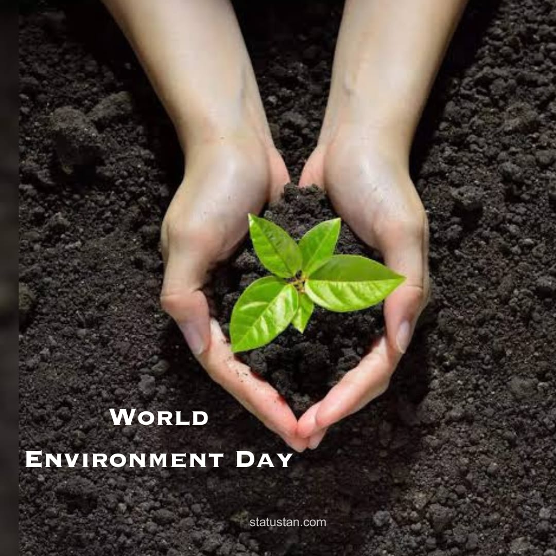 ##environmentdaystatus#environmentdayimages#saveplanetstatus
